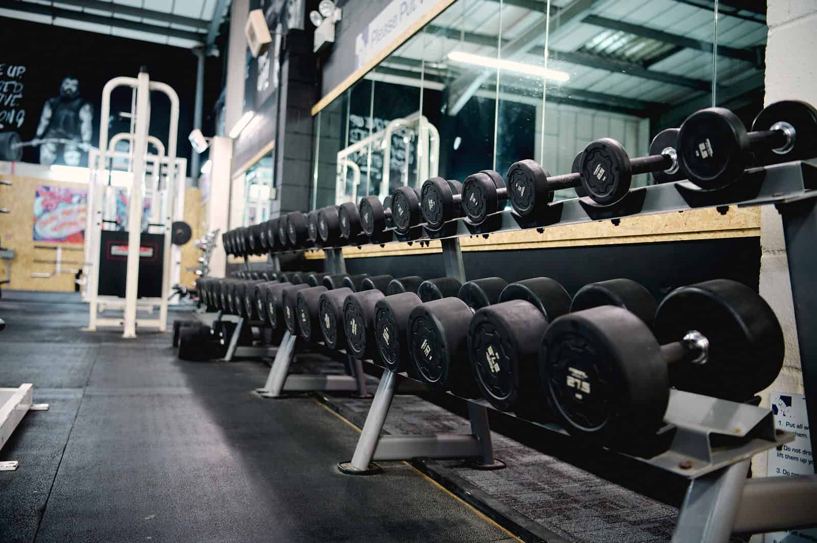 The Gym Gloucester Dumbbells